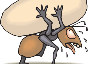 Karıncalar Gerçekten İnsanlardan Daha Mı Güçlü ?