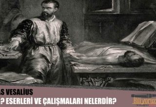 Andreas Vesalius Kimdir ? Hayatı ve Eserleri Hakkında Bilgiler